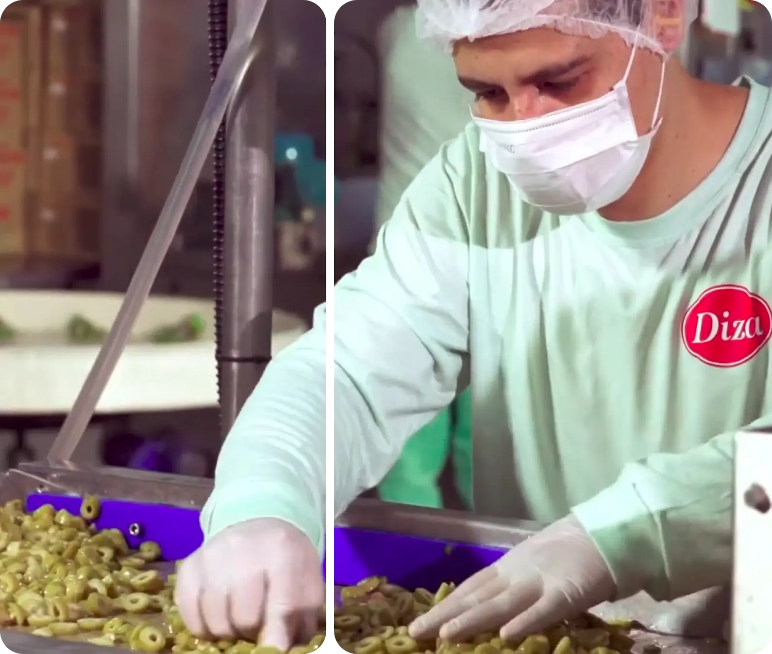 Imagem de apresentação para Quem Somos Diza